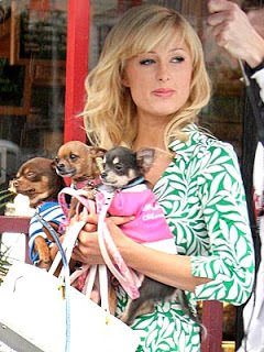 paris hilton