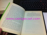 Picture 034