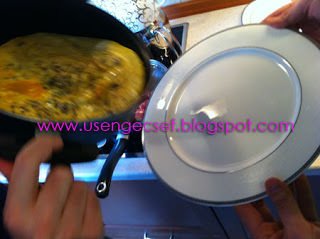 Picture 046