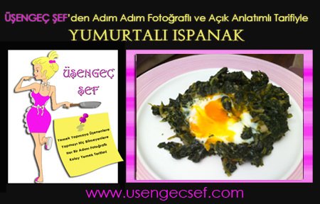 resimli-yumurtali-ispanak-tarifi