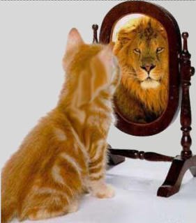 CatAndMirror