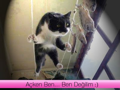 Acken sen sen degilsin