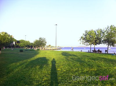 IMG 7474