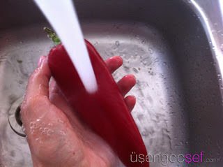 IMG 0220