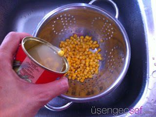 IMG 0239