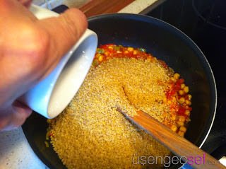 IMG 0255