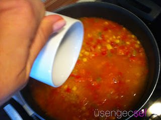 IMG 0267