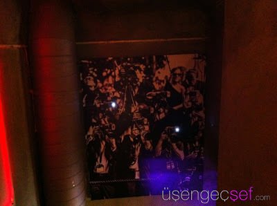 IMG 9559