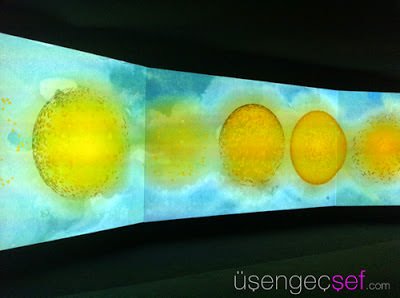 IMG 9679