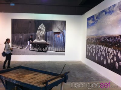 IMG 9685