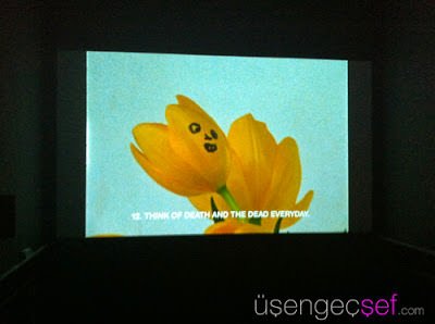 IMG 9732
