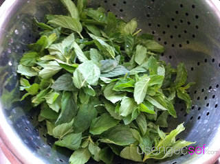 metabolizma-hizlandiran-diyet-corba-tarifi