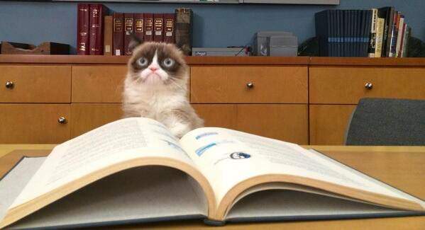 kedi-komik-kitap