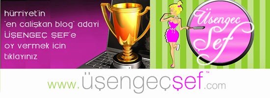 UsengecSefOdul1