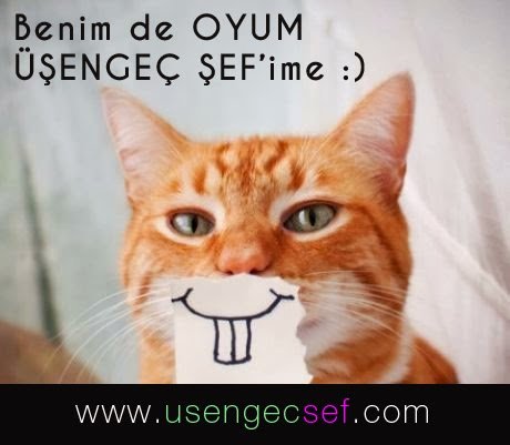 hurriyet-bumerang-odulleri-usengec-sef