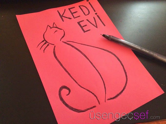 kolay-kedi-evi-nasil-yapilir