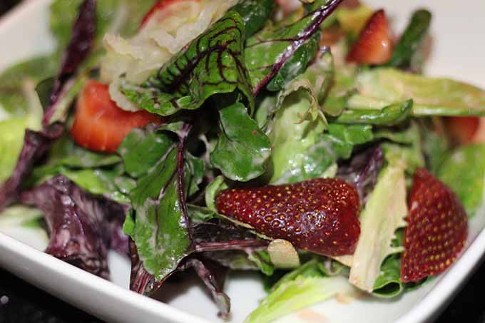 porter-bar-b-q-cilek-salata-roll-bagdat-caddesi-mekan-tavsiye