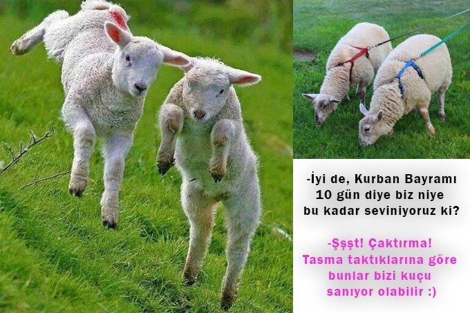 2017 kurban bayramı ne zaman tatil kaç gün