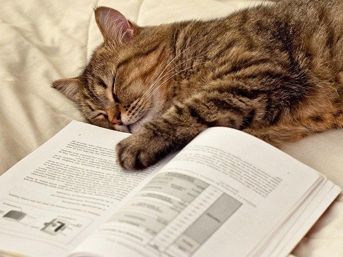 cocuga-ders-calistirma-teknikleri