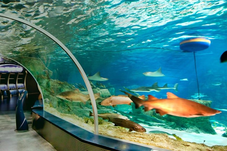 aqua florya cocuklarla haftasonu 1