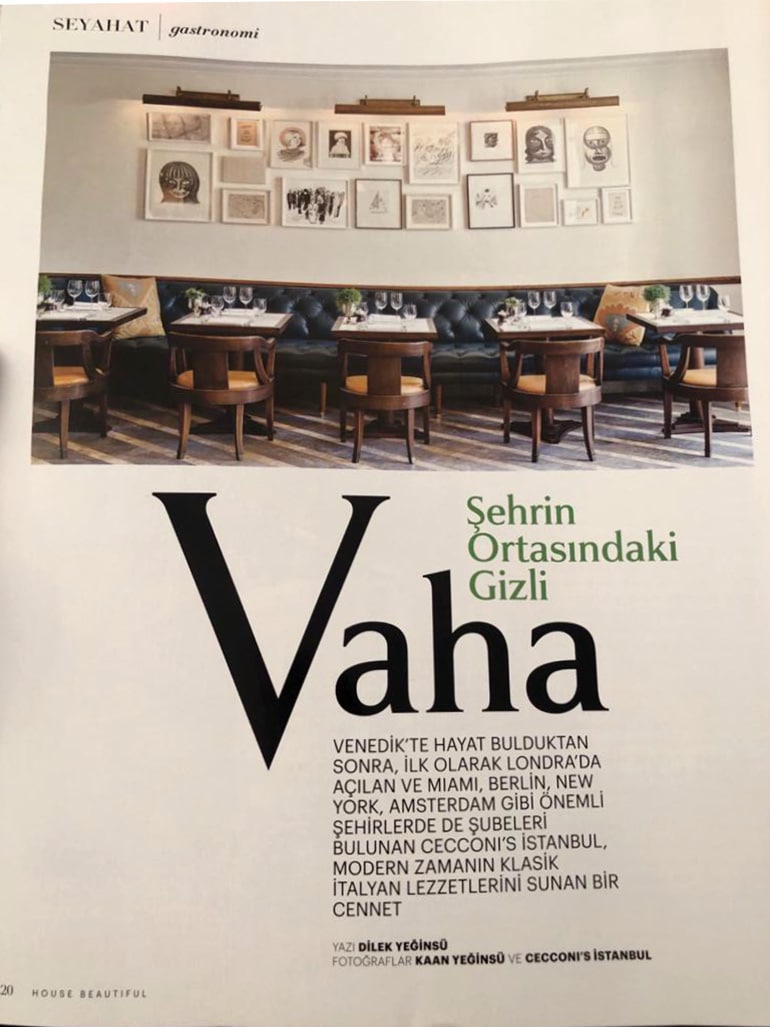 House Beautiful Cecconis Dilek Yeginsu 2