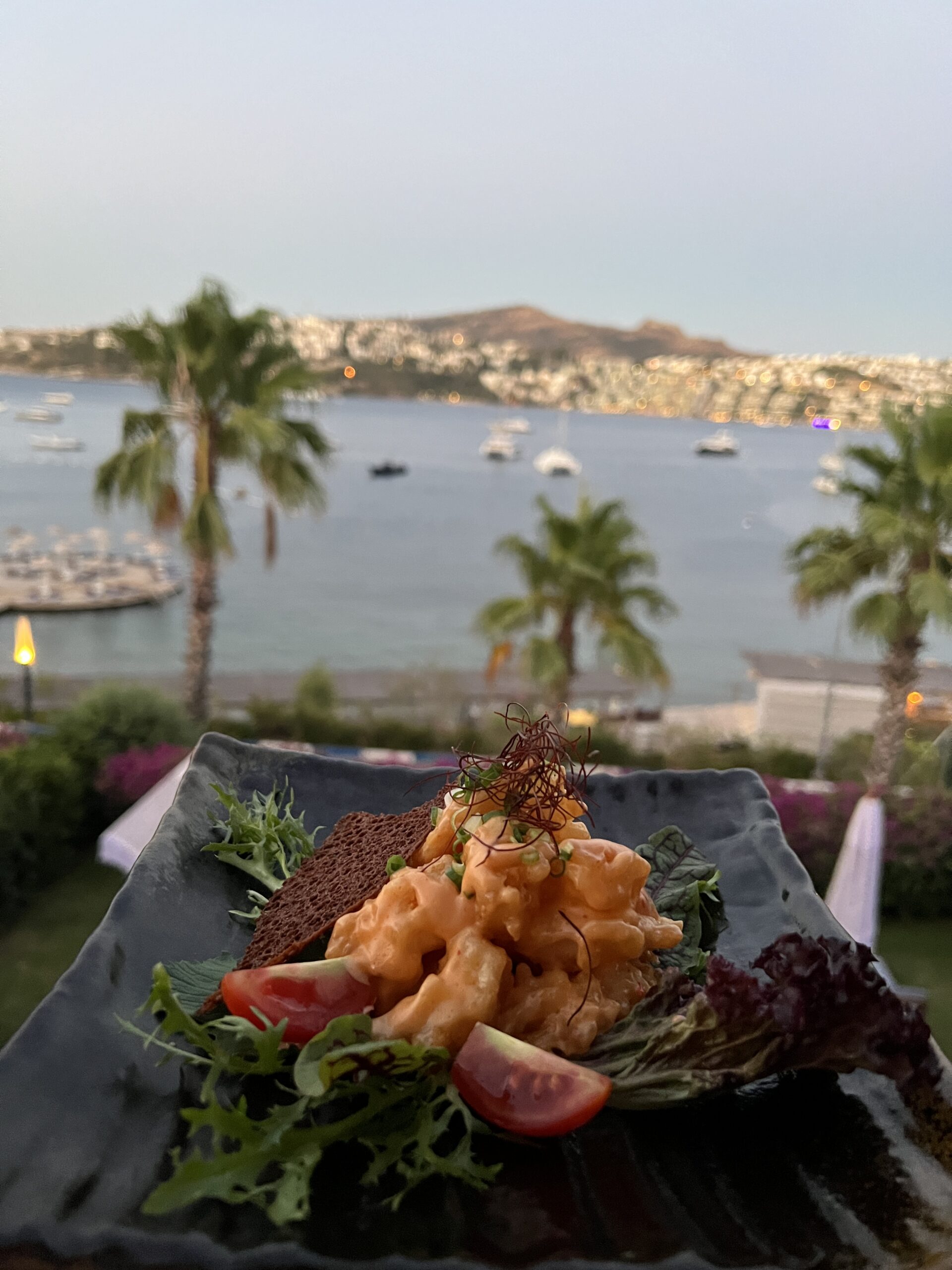 İtsumi Japanese Bodrum gündoğan cape bodrum